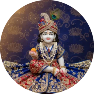 Laddu Gopal Poshak