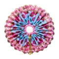 Designer pink and sky blue peacock feather Laddu Gopal poshak with embroidered border